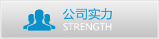 公司實力